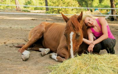 Nansy Kourellou: Abandoned horses protector