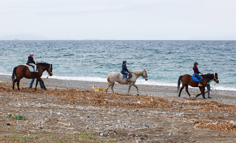 Horseback Riding